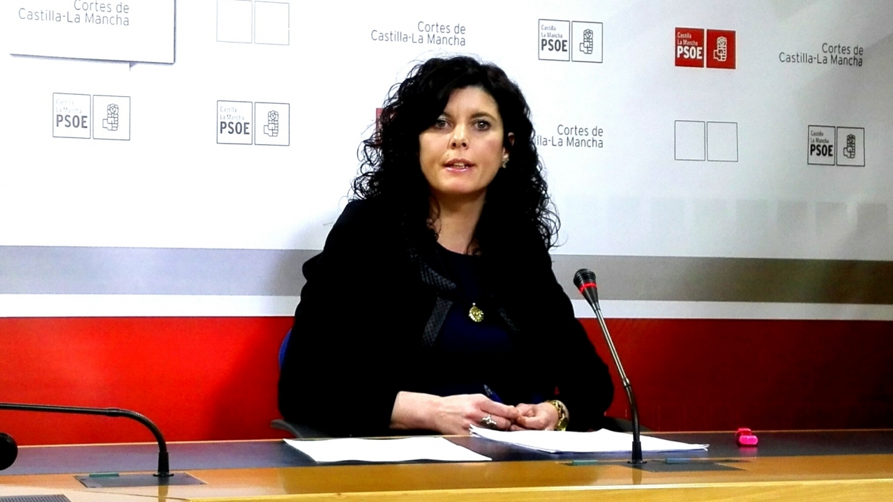 El PSOE insta a los dirigentes del PP a abandonar la oposición &quot;destructiva, mentirosa y de sembrar miedo que están realizando&quot;