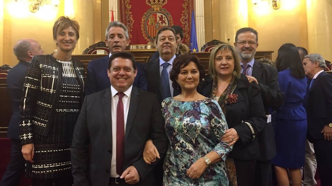 Importante presencia de los senadores del PSOE de Castilla-La Mancha en las comisiones de la Cámara Alta