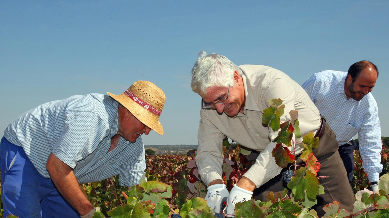 Barreda asegura que Castilla-La Mancha sabrá aprovechar la oportunidad de la OCM del Vino