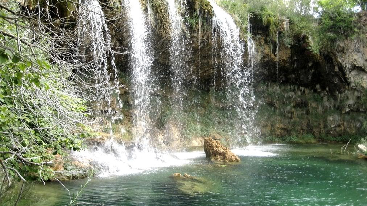 Defender el agua, fomentar la I+D+i y promover las TIC en la administración, resoluciones del PSOE